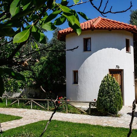 Kefalonian Mill - Oneira Villas Trapezaki  Exterior foto